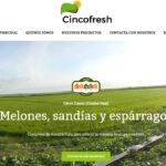 cincofresh
